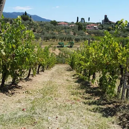 Podere Farinello Lucca