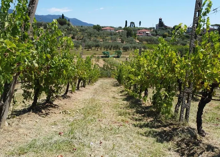 Podere Farinello 루카